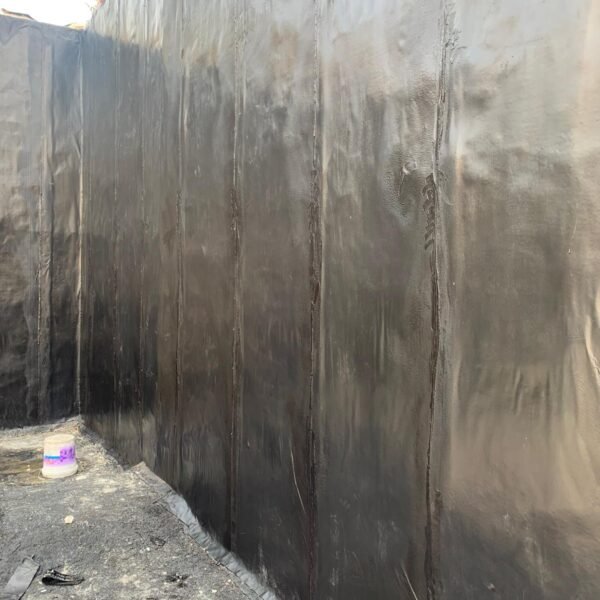 WhatsApp Image 2025-03-18 at 1.05.04 PM (1)