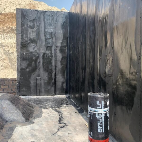 WhatsApp Image 2025-03-18 at 1.05.04 PM (5)