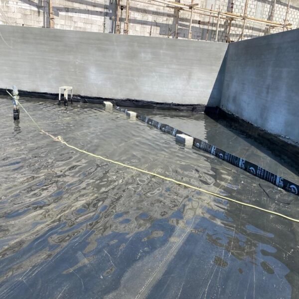 WhatsApp Image 2025-03-18 at 1.05.05 PM (7)